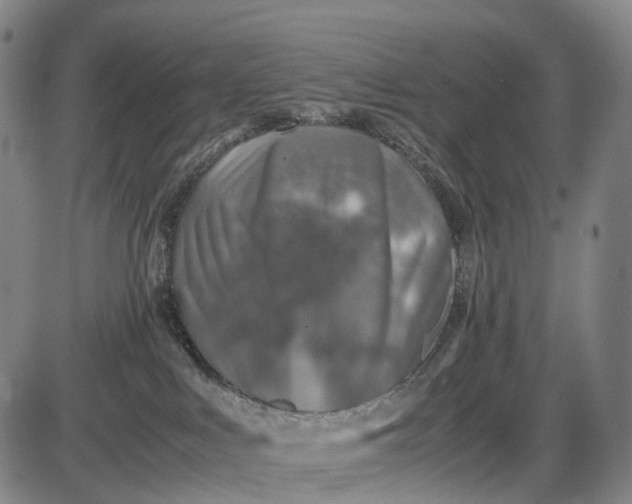 X0000085830043200703301630