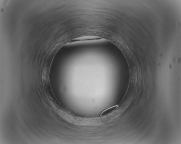 X0000085830044200703301630