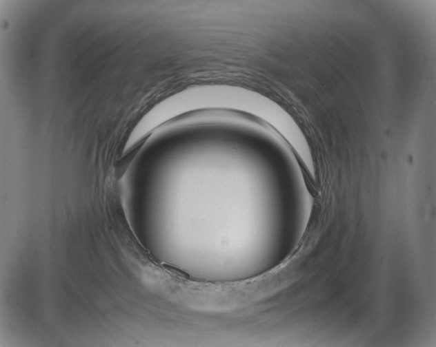 X0000085830045200703301630