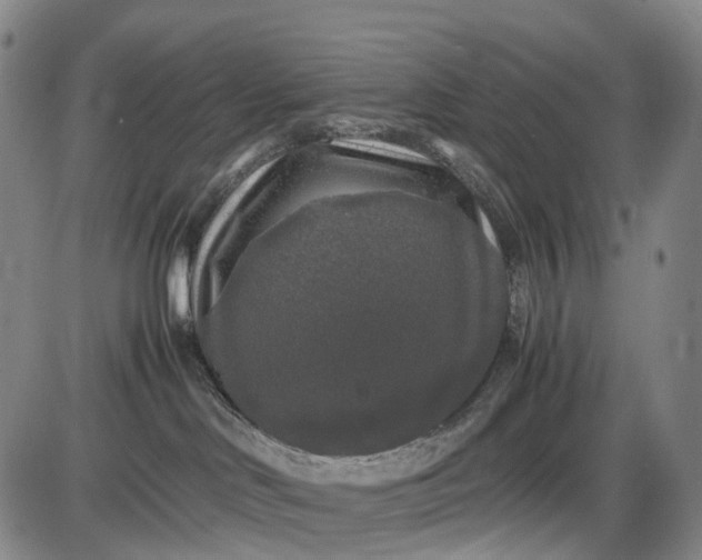 X0000085830046200703301630