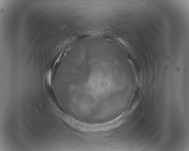 X0000085830047200703301630