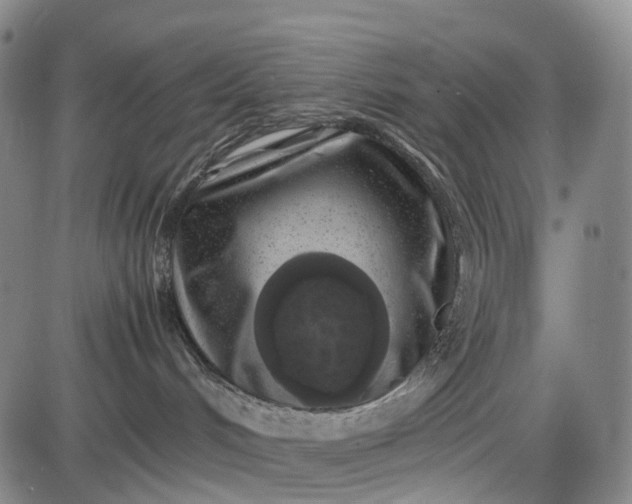 X0000085830048200703301630