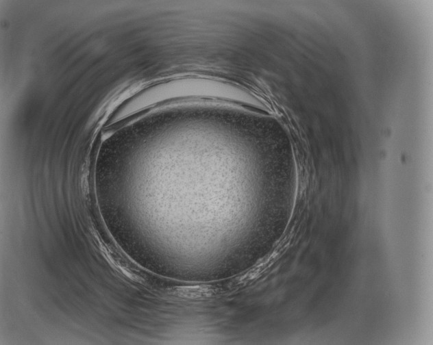 X0000085830050200703301629