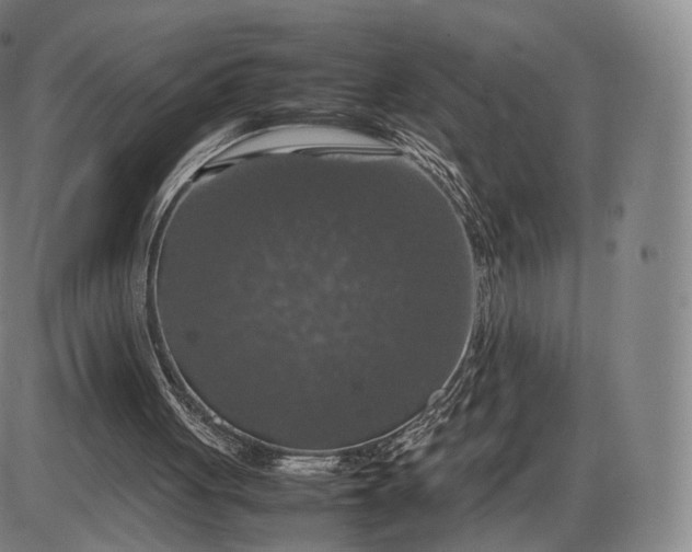 X0000085830051200703301630