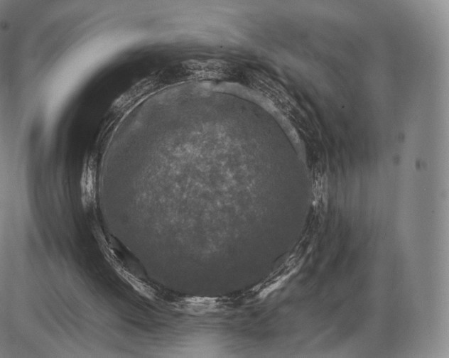 X0000085830052200703301630