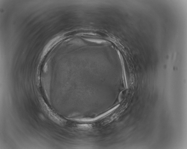 X0000085830053200703301630