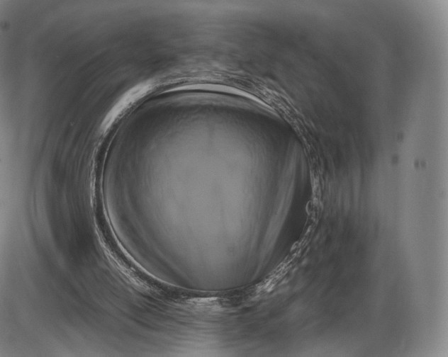 X0000085830054200703301630