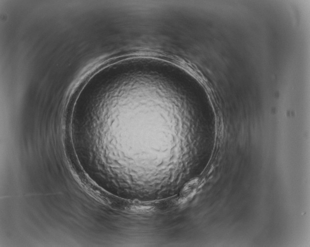 X0000085830055200703301630