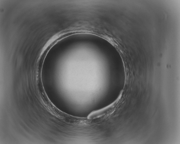 X0000085830056200703301630