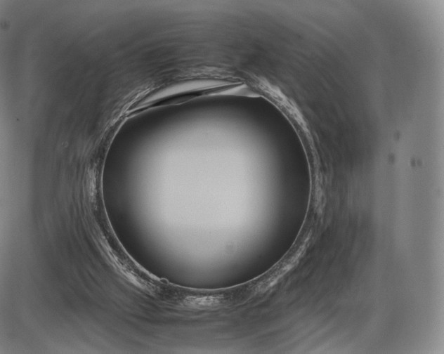 X0000085830057200703301630