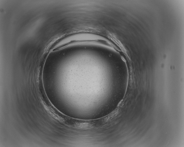 X0000085830058200703301630