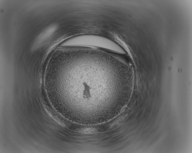 X0000085830059200703301630