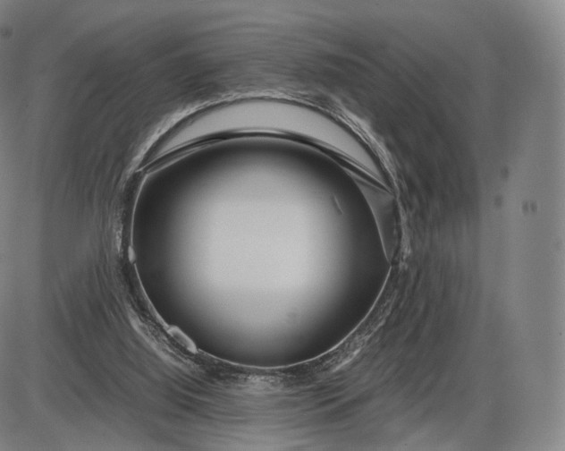 X0000085830060200703301630