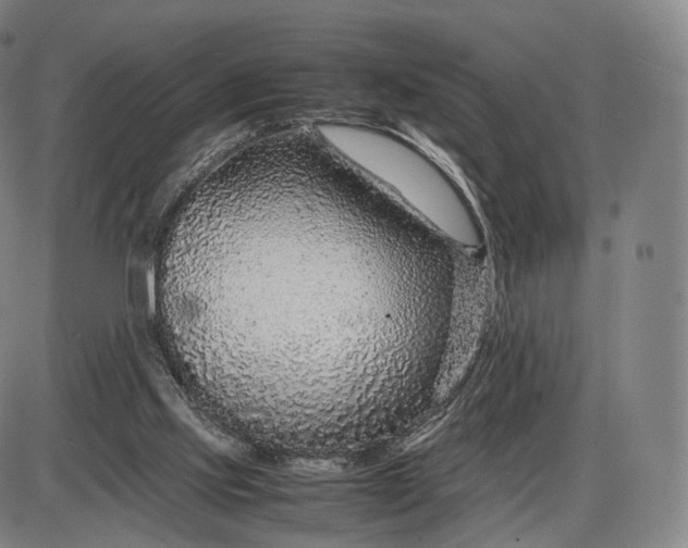 X0000085830061200703301630