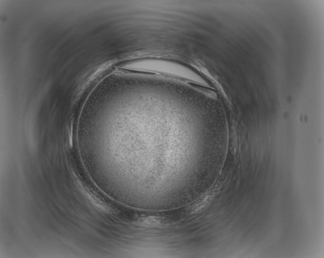 X0000085830062200703301630