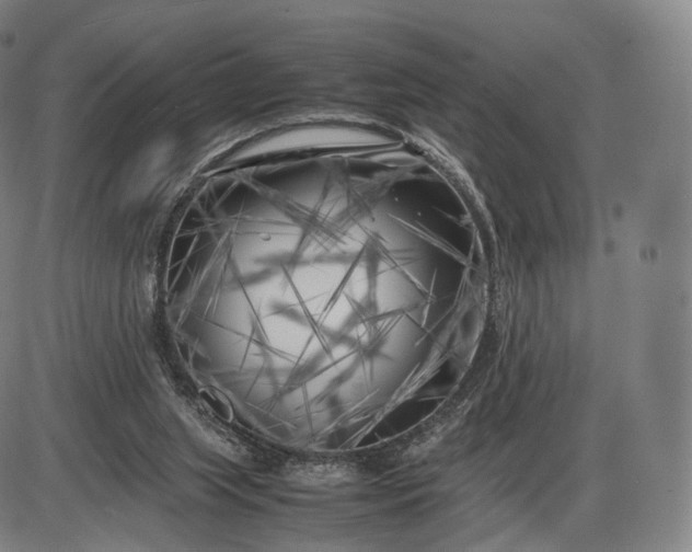 X0000085830063200703301630