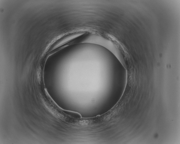 X0000085830064200703301630