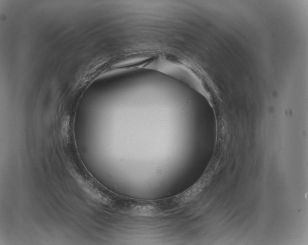 X0000085830066200703301630