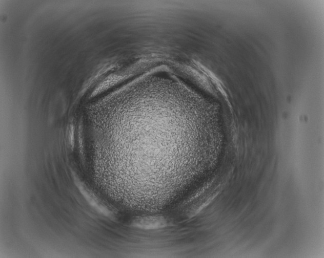 X0000085830067200703301630