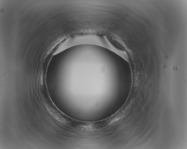 X0000085830068200703301630