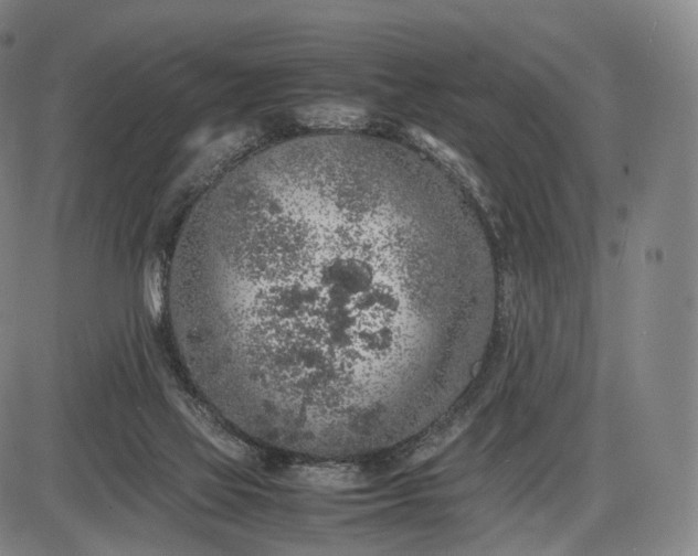 X0000085830069200703301630