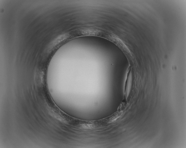 X0000085830071200703301630