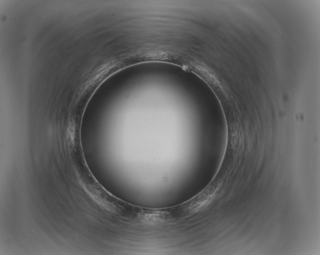 X0000085830072200703301630