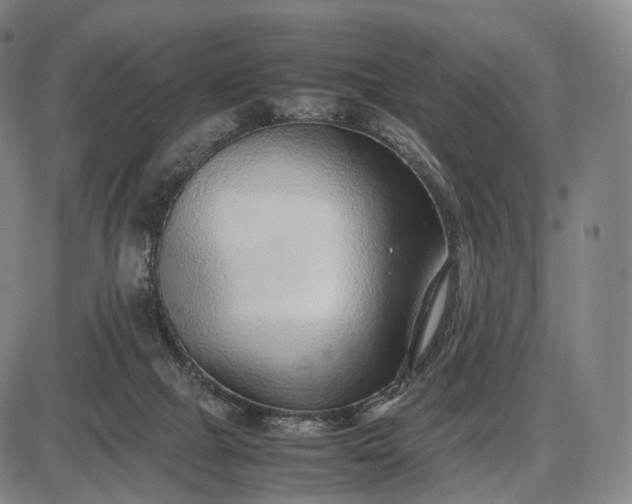 X0000085830073200703301630