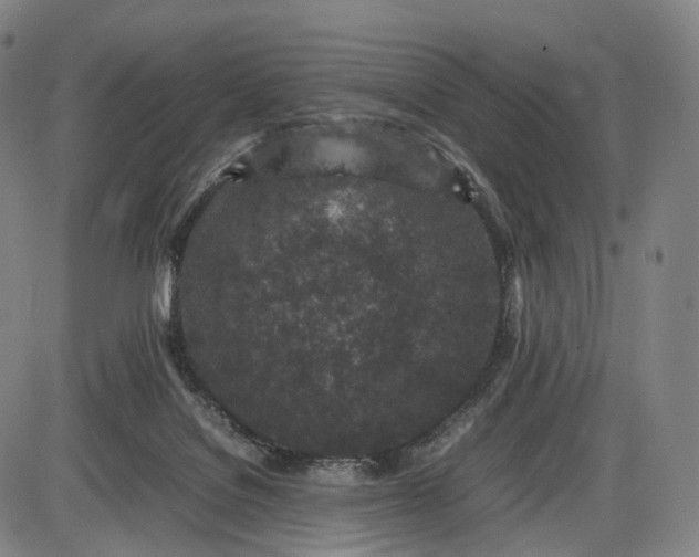 X0000085830076200703301630