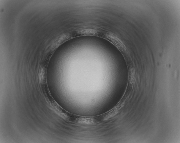 X0000085830077200703301630