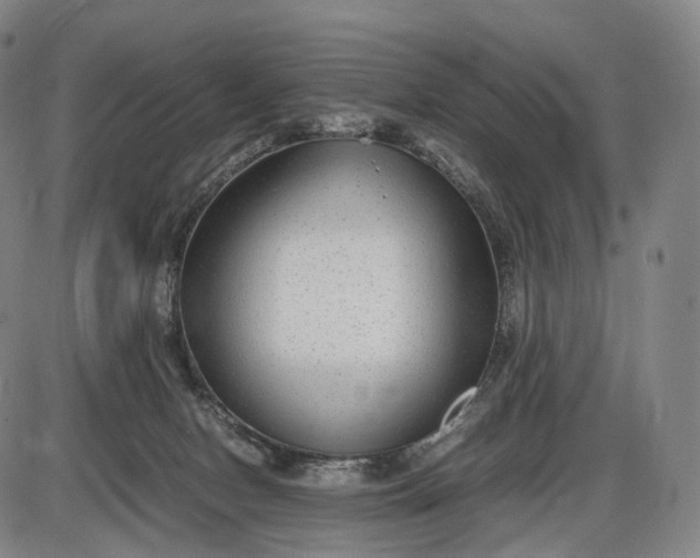 X0000085830078200703301630