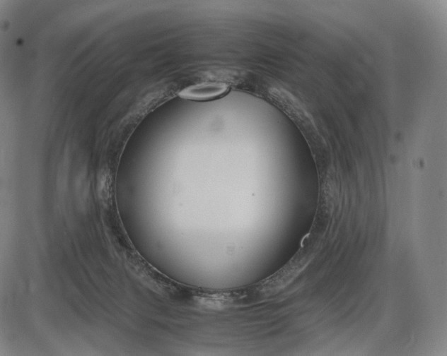 X0000085830079200703301630