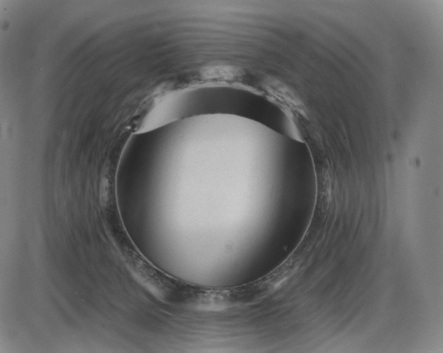 X0000085830080200703301630