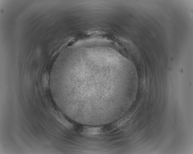 X0000085830081200703301630