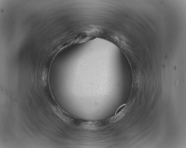 X0000085830082200703301630