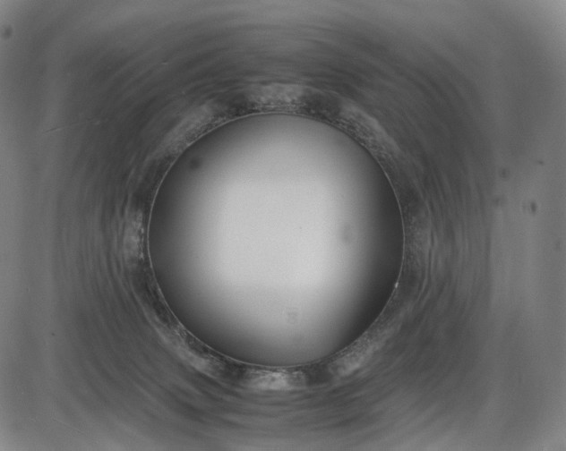 X0000085830083200703301630