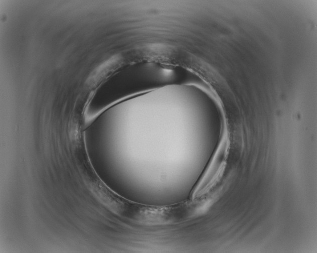 X0000085830084200703301630