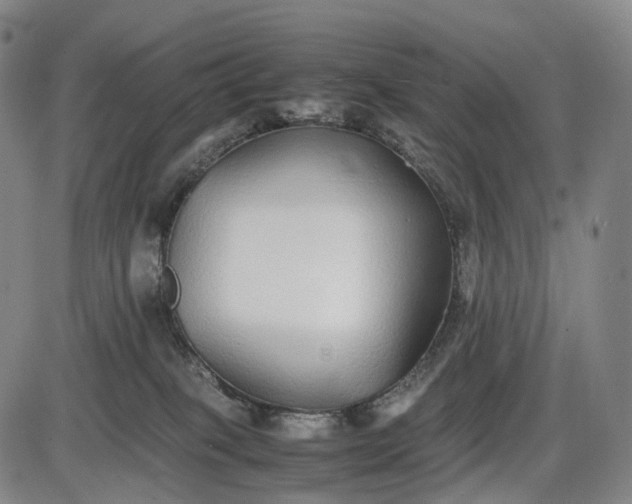 X0000085830085200703301630