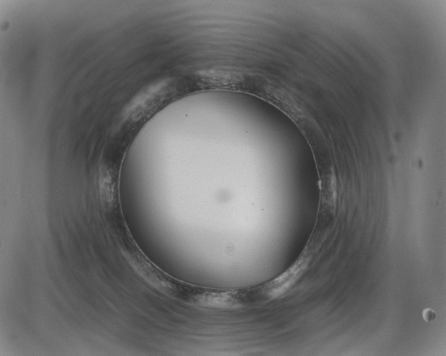 X0000085830086200703301630