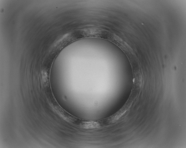 X0000085830087200703301630