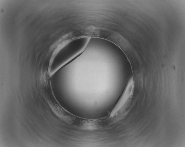 X0000085830088200703301630