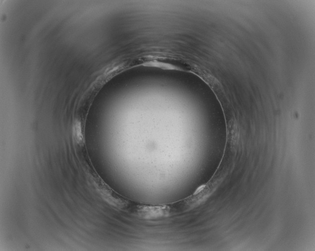 X0000085830089200703301630