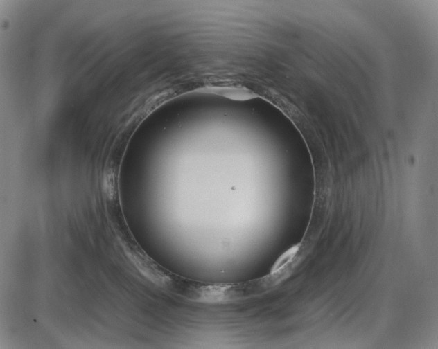 X0000085830090200703301630