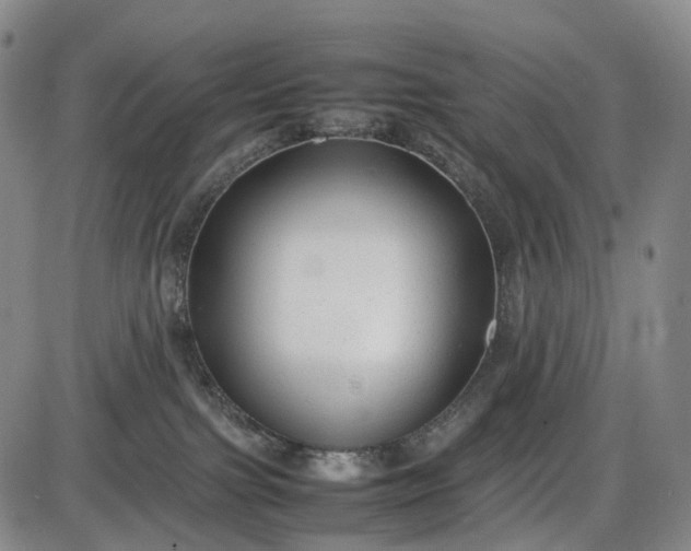 X0000085830091200703301630