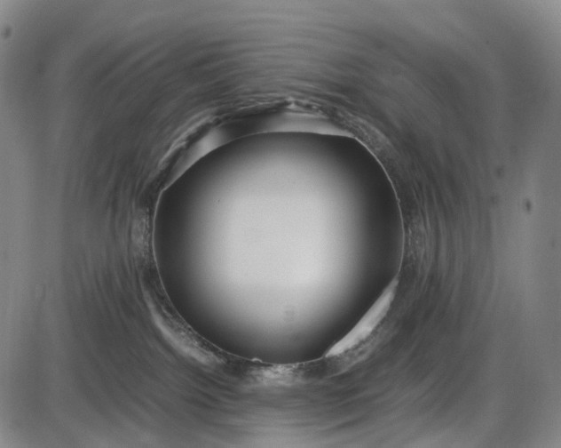 X0000085830092200703301630