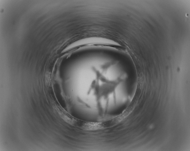 X0000085830093200703301630