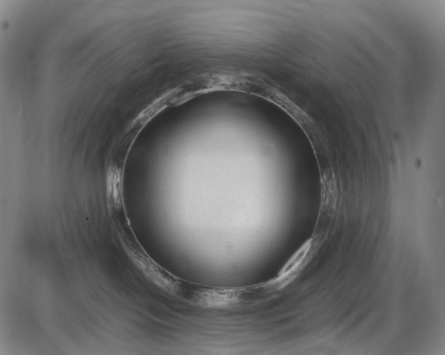 X0000085830094200703301630