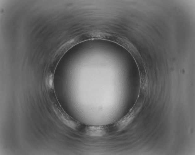 X0000085830095200703301630