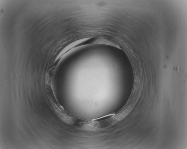 X0000085830096200703301630