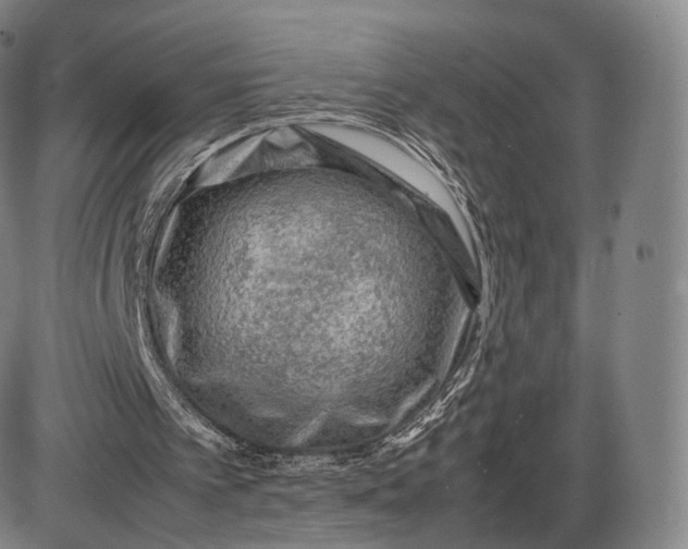 X0000085830097200703301629